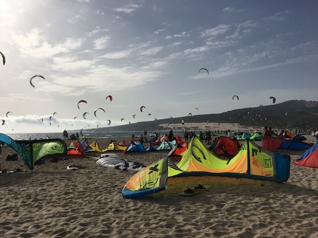 trips beach festival 1