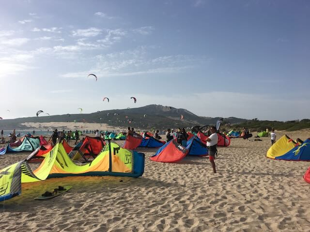 trips beach festival 2